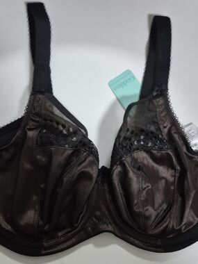 Goddess Dark Brown/Black Sheer Accent Support Bra